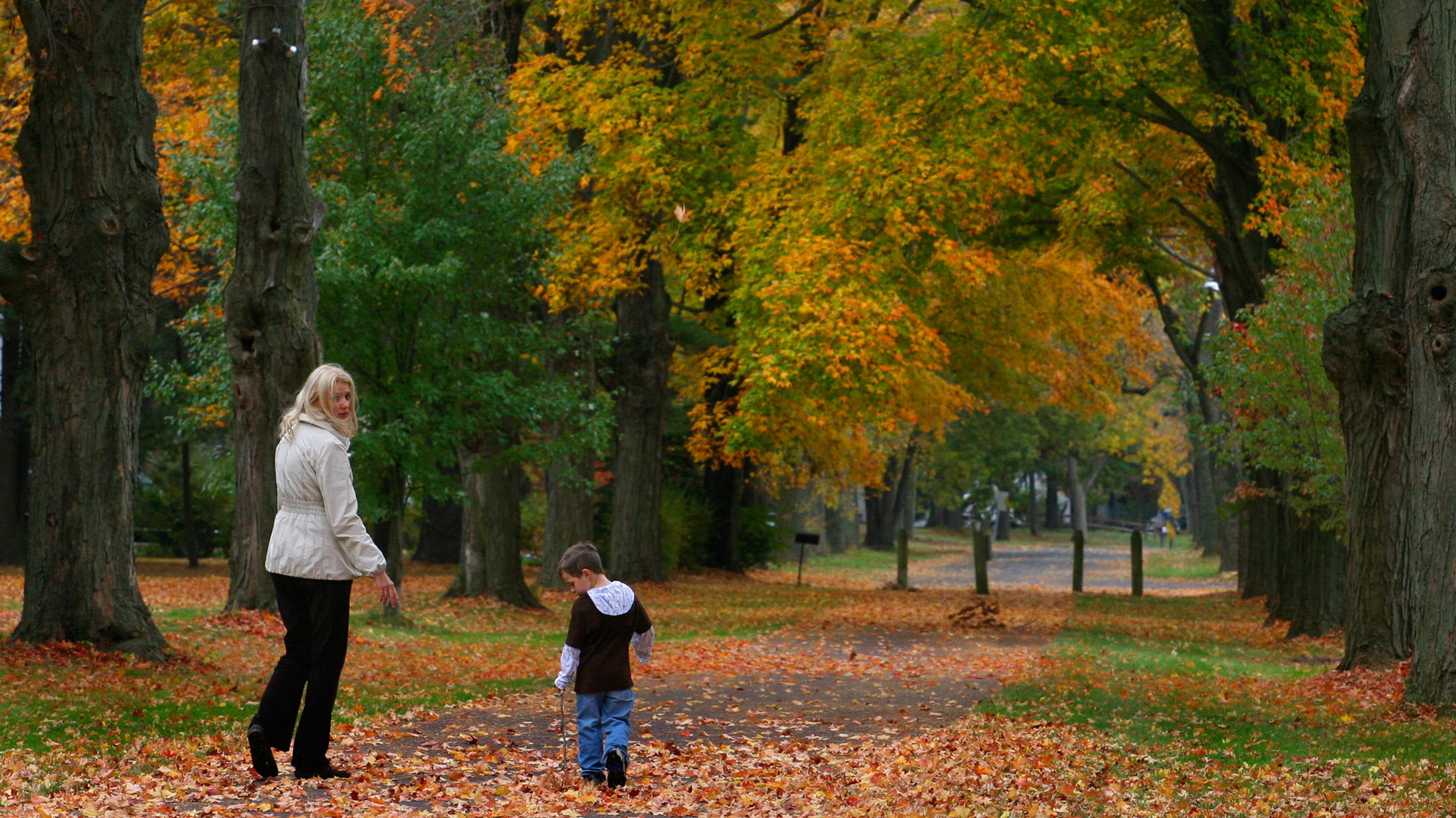 Washington Crossing Historic Park