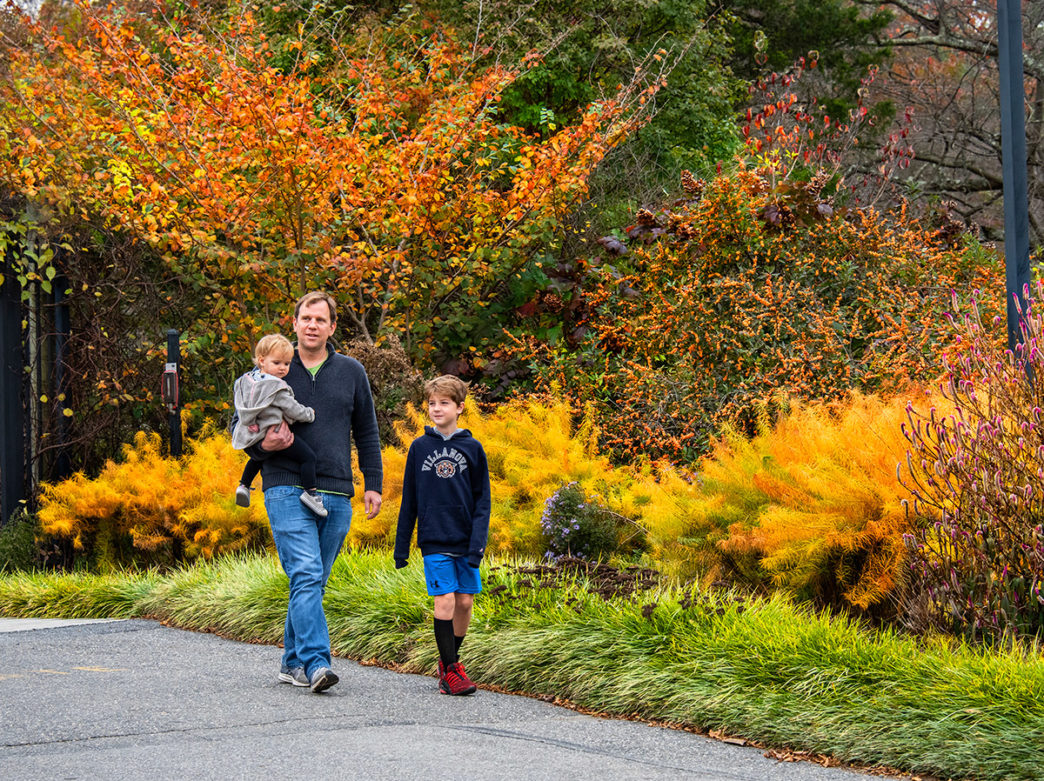 A family walking through Tyler Arboretum
