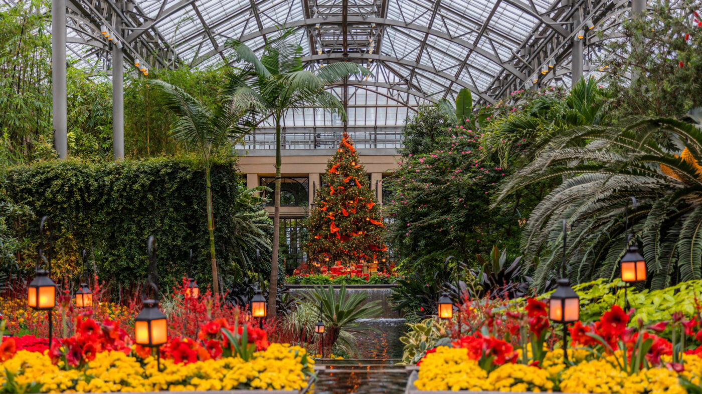 Longwood Christmas at the Longwood Gardens conservatory