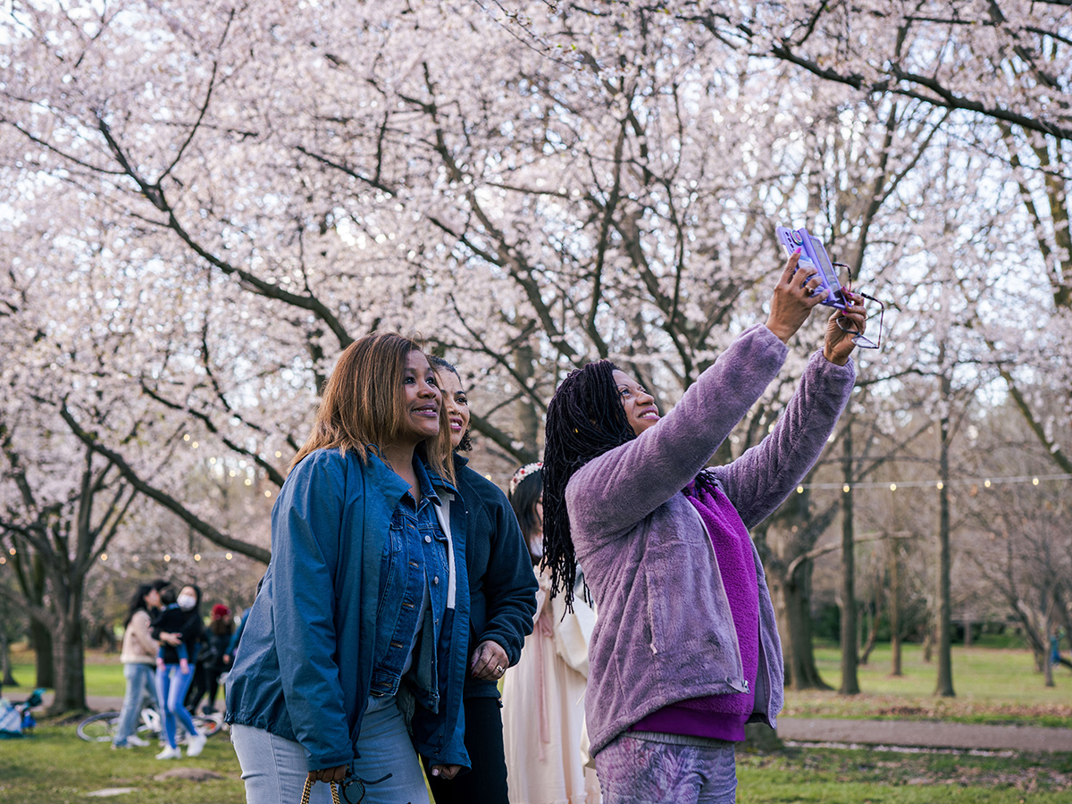 Three people stop to take a selfie together amongst the blooming cherry blossom festival.