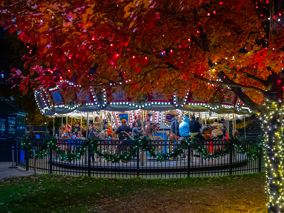 People ride a carousel that is illuminated with white lights. A tree decorated with colorful holiday lights in the foreground.