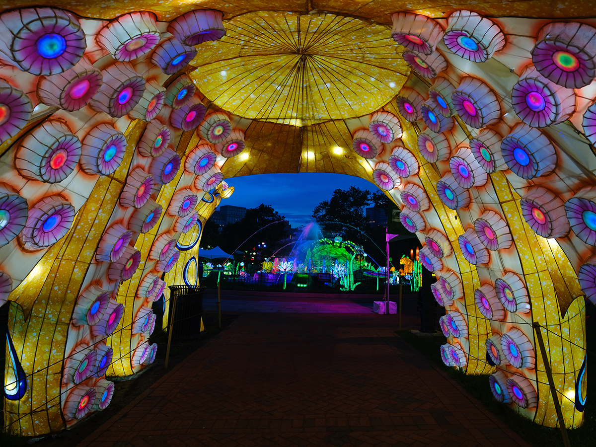 A glowing yellow lantern tunnel with pink and blue rings meant to look like suckers on the arms of an octopus.